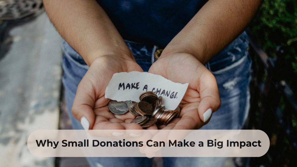 Why Small Donations Can Make a Big Impact