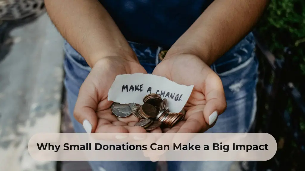 Why Small Donations Can Make a Big Impact